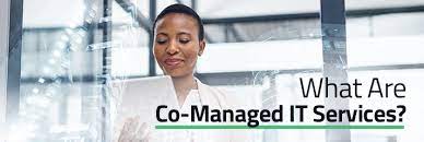 co-managed IT services,