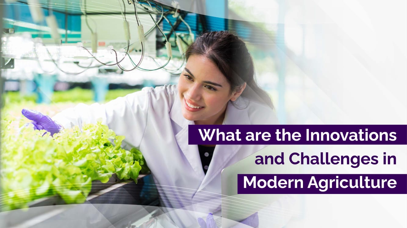 What are the Innovations and Challenges in Modern Agriculture