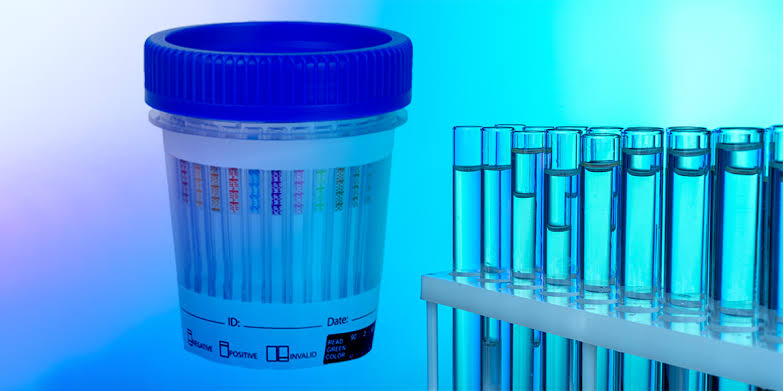 Maximizing Drug Screening Efficacy with the 12 Panel Drug Test